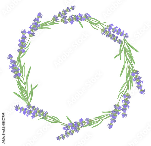 The background for the text label of the packaging the card with lavender flowers.