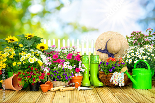 Fototapeta Naklejka Na Ścianę i Meble -  Gardening tools and flowers on the terrace i