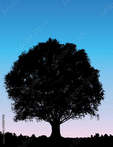 Lone tree background
