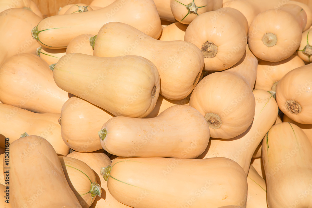Colorful pumpkins Colorful pumpkins