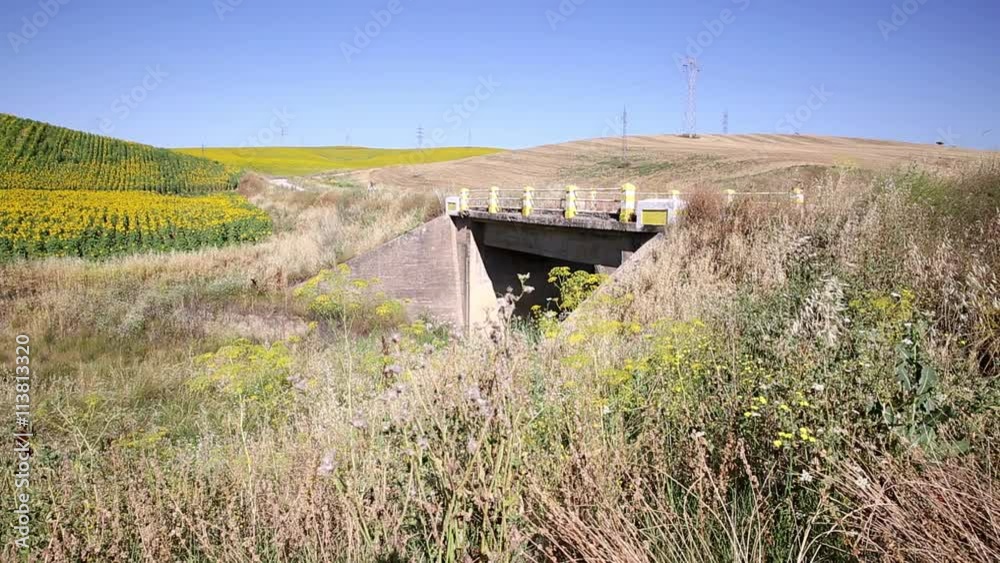 Bicycle touring through the countryside with sunflower fields and a bridge on a summer day arriving to Cordoba city Bicycle touring through the countryside with sunflower fields and a bridge on a summer day arriving to Cordoba city