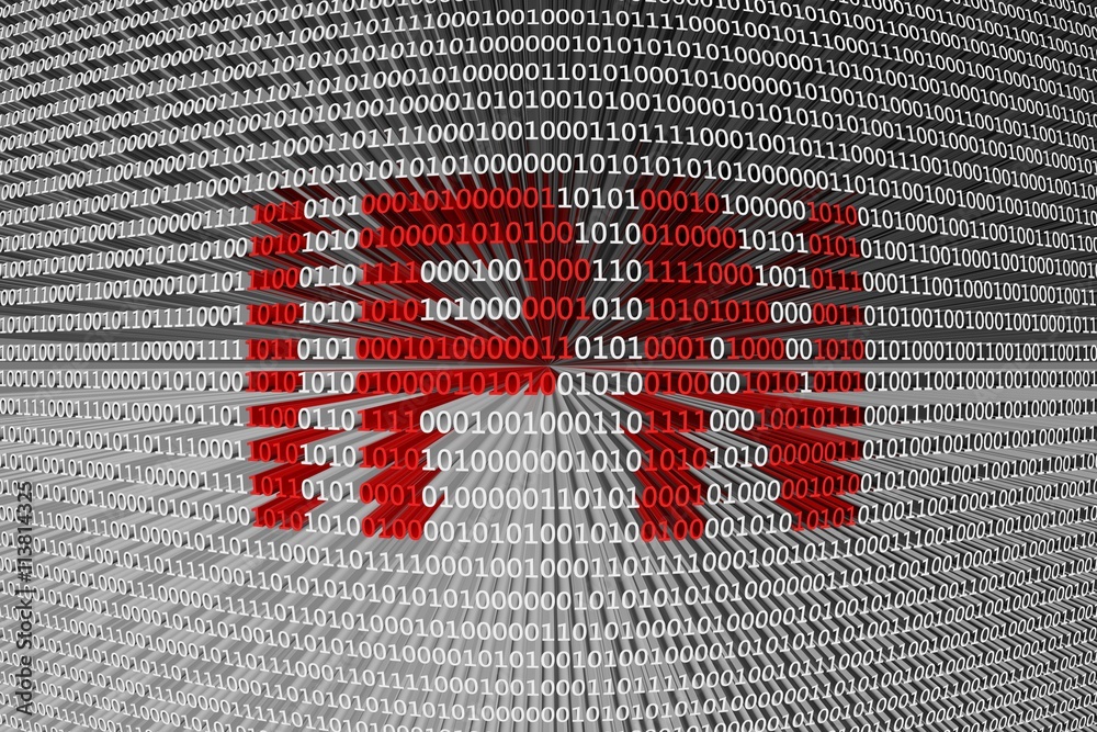IPN in the form of binary code, 3D illustration IPN in the form of binary code, 3D illustration