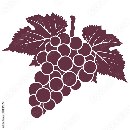 bunch of red grapes with leaves