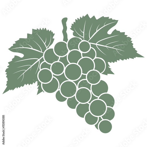 bunch of white grapes with leaves