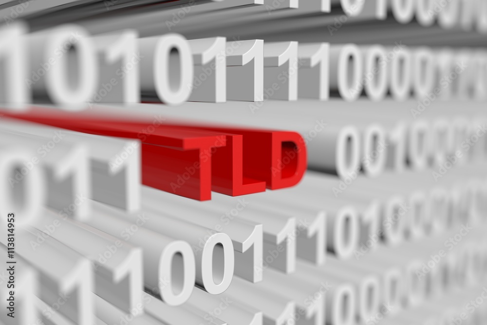 TLD as a binary code with blurred background 3D illustration
