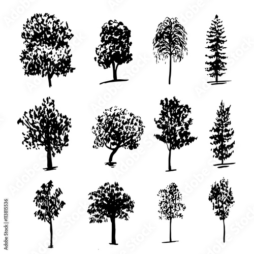 drawing collection of 12 elements of different types of trees graphic ink sketch hand drawn vector illustration