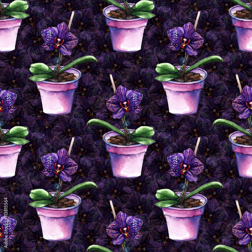 Violet phalaenopsis orchid flower seamless pattern texture