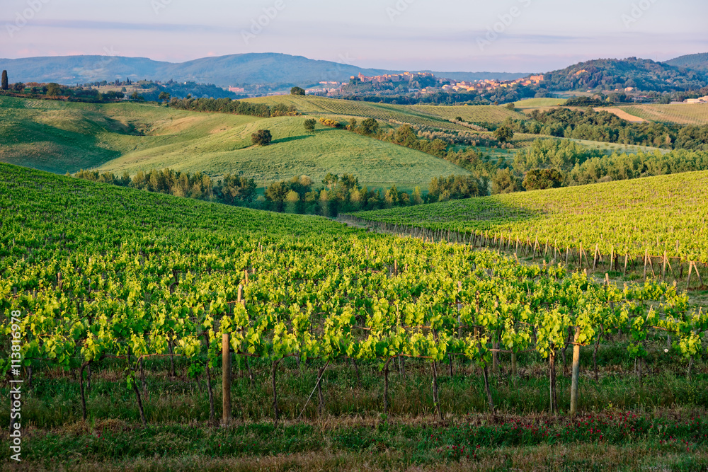Tuscan vineyard at sunrise