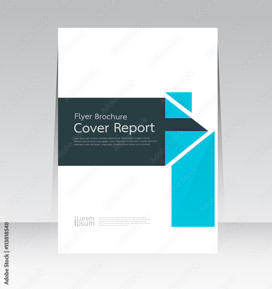 Naklejka premium Vector design for Cover Report Brochure Flyer Poster in A4 size