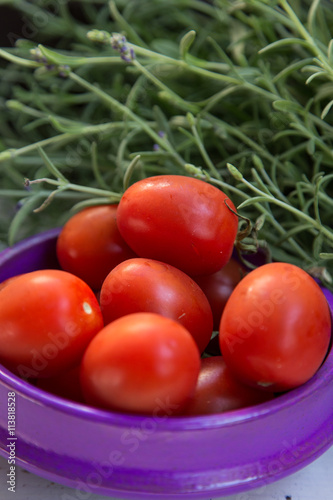 Tomaten  photo