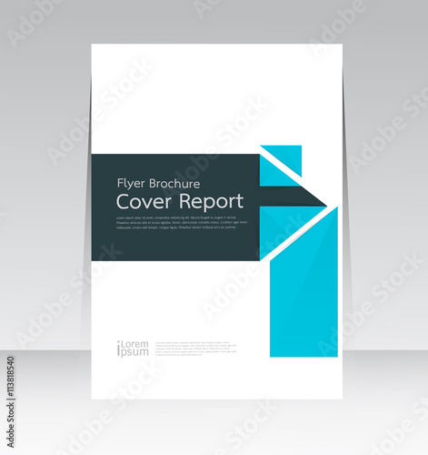 Vector design for Cover Report Brochure Flyer Poster in A4 size