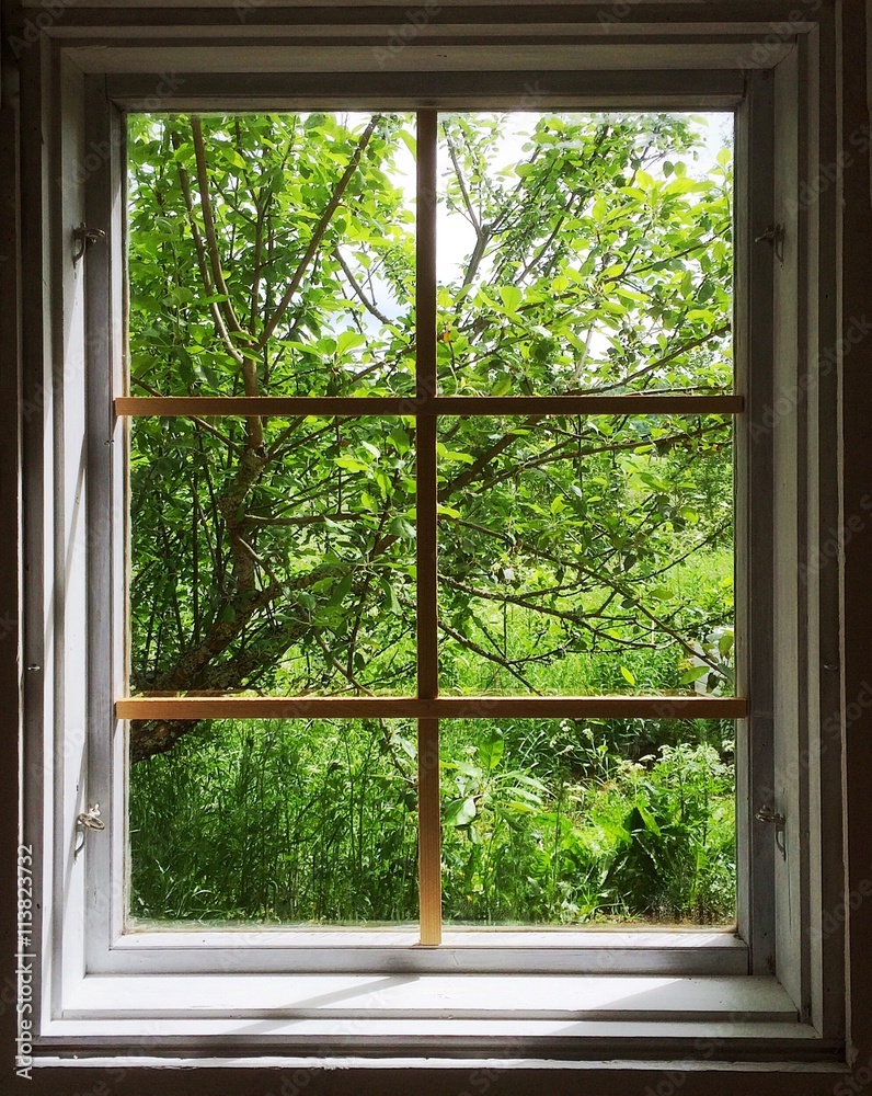 summer view from old window. summer view from old window.