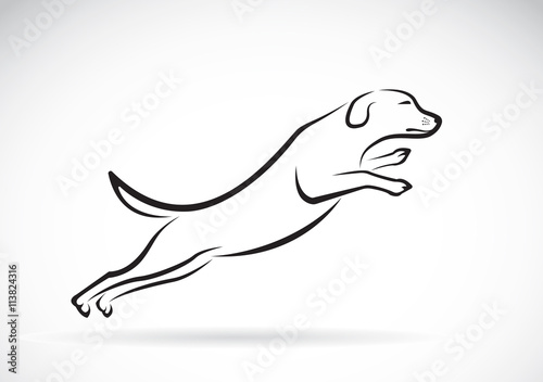 Vector of a dog jumping on white background. Animals. Pets.