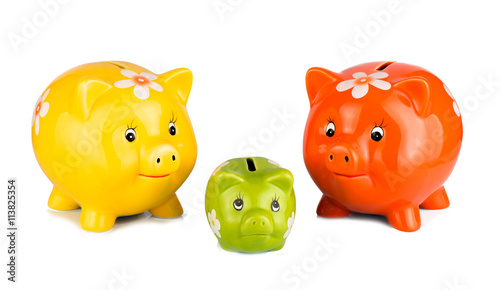 Pig piggy bank in different colors on a light background