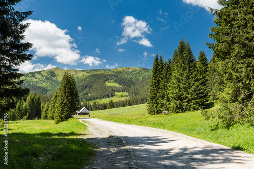 road in Chocholowska Valley in Tatra Mountains, Poland