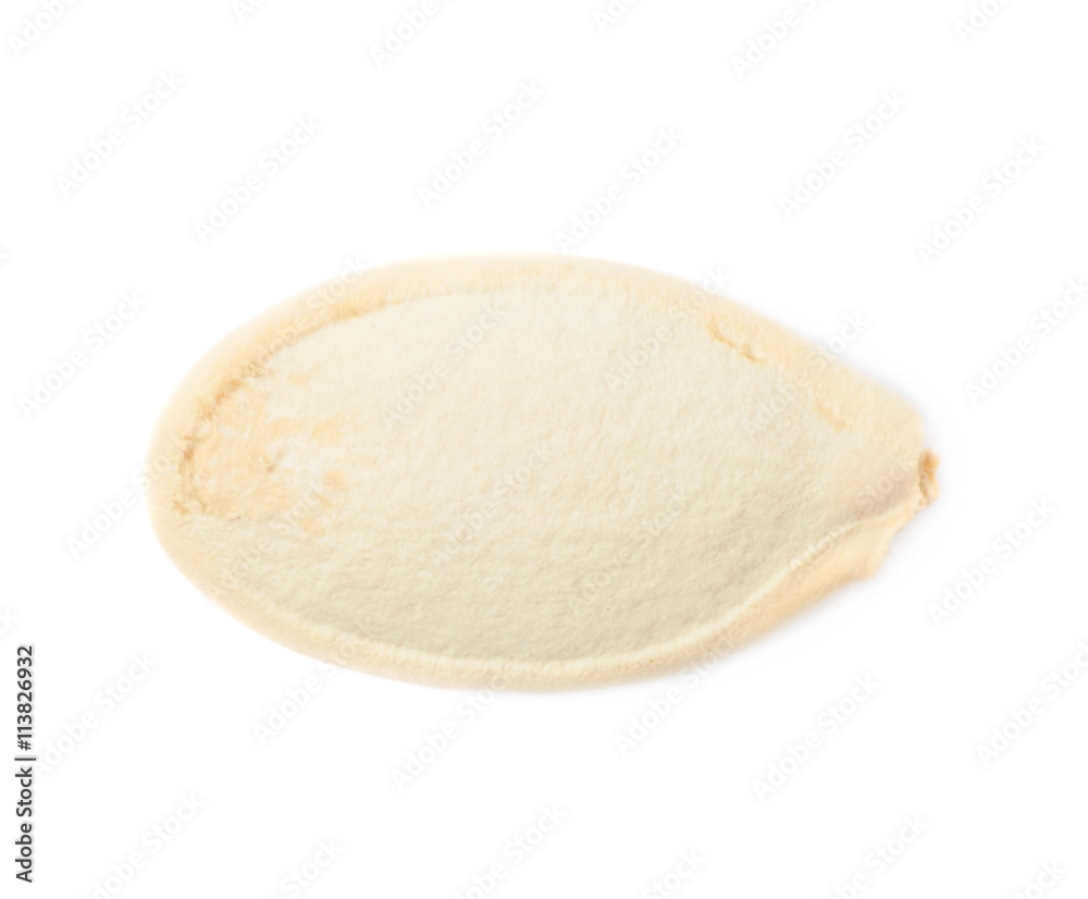 Pumpkin seed close-up isolated Pumpkin seed close-up isolated