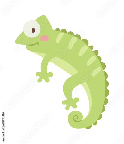 chameleon vector illustration.