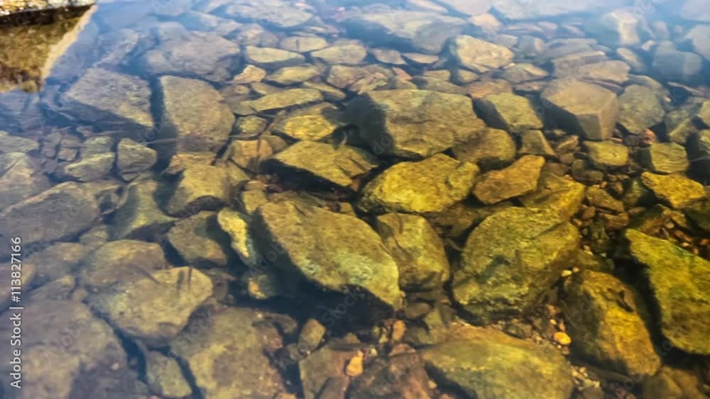 Clean river water. Stones. Clean river water. Stones.