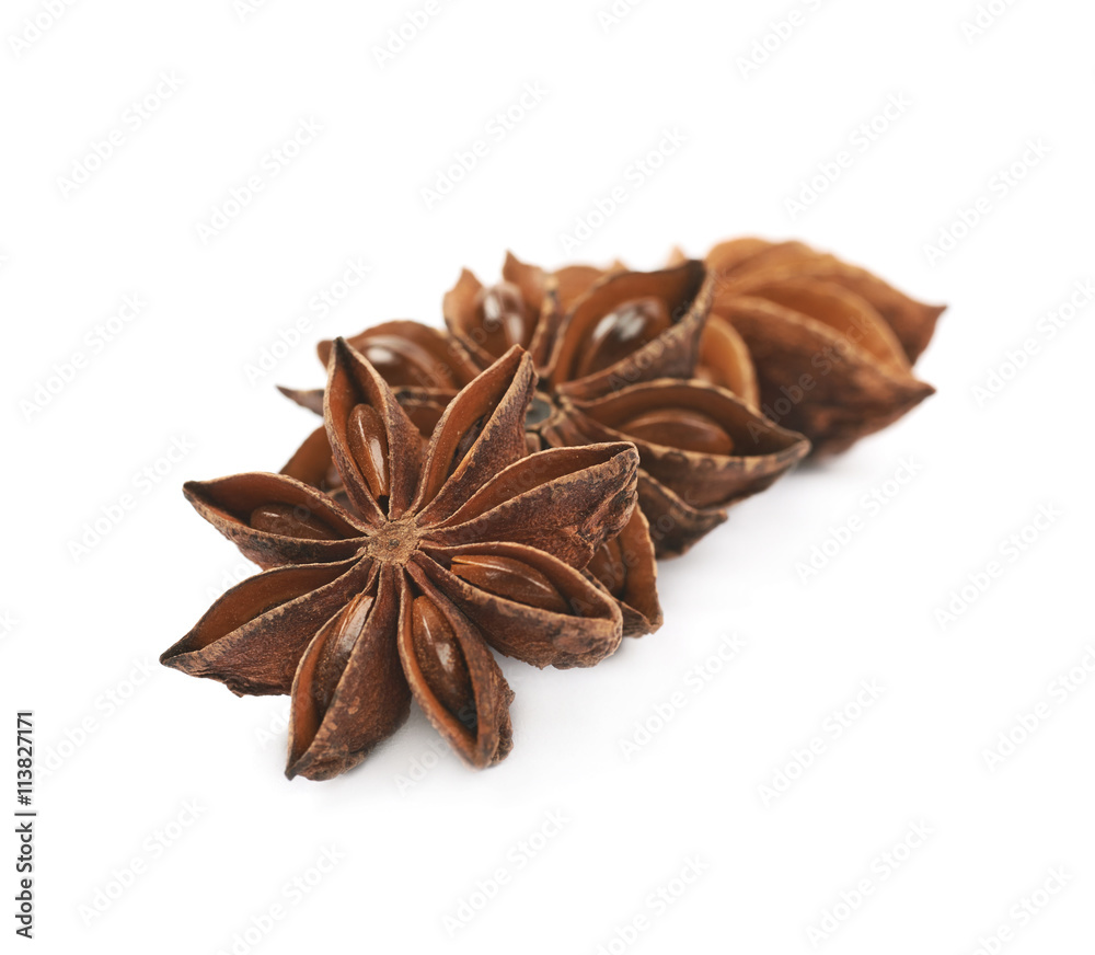 Chinese star anise seed isolated Chinese star anise seed isolated