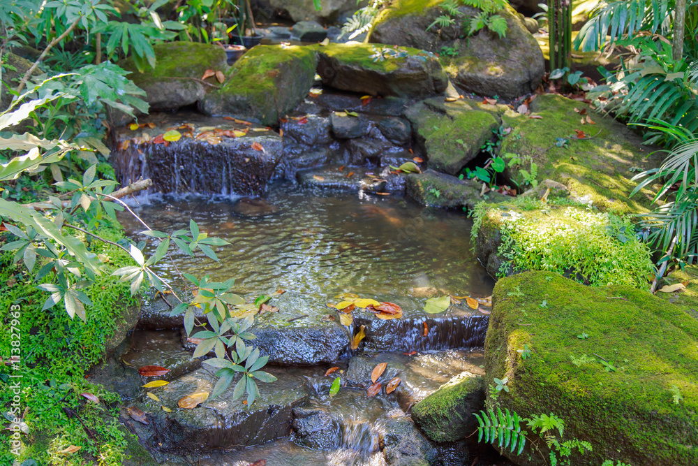 Artificial waterfall in botanic garden
Artificial waterfall in botanic garden