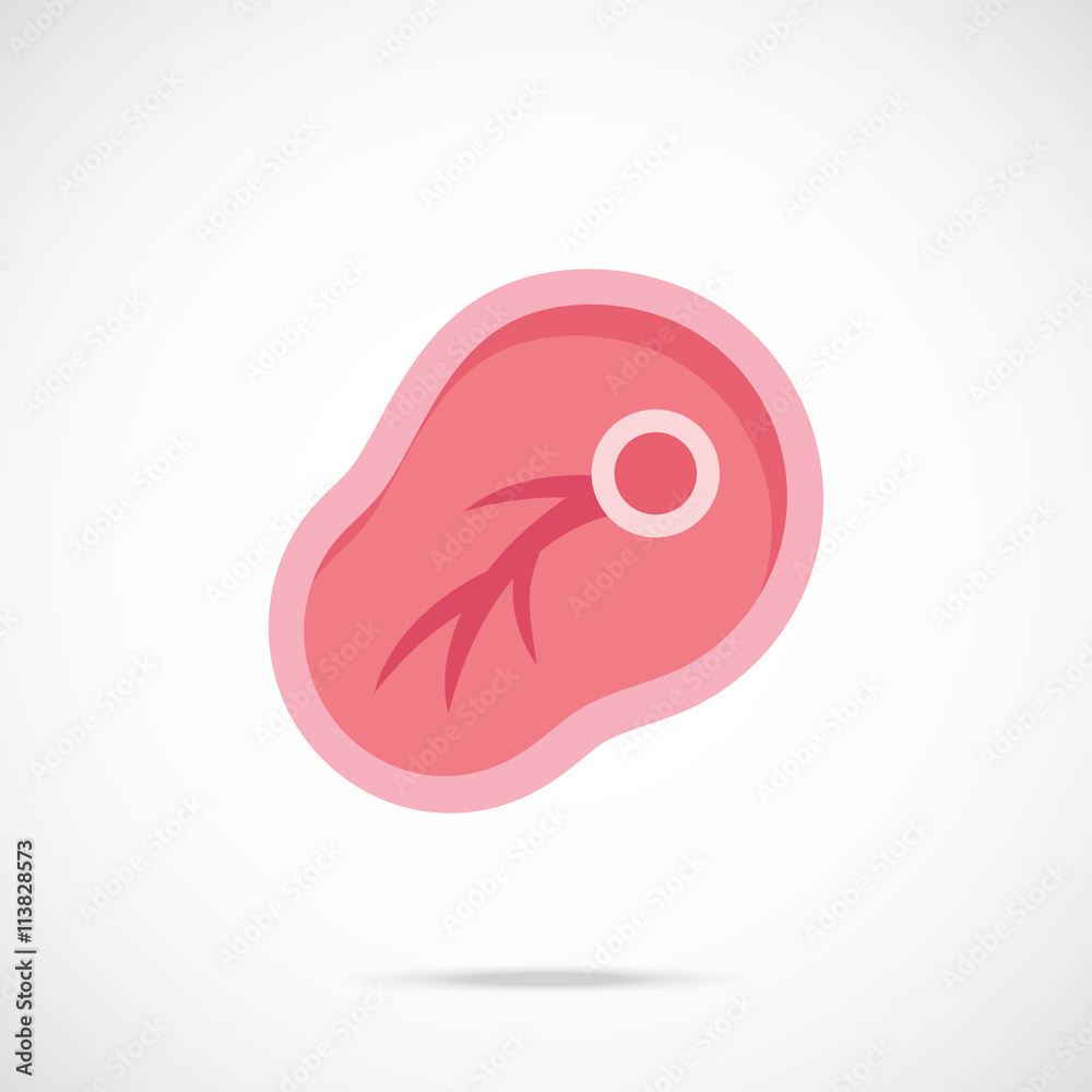 Vector meat slice icon. Meat chop isolated on gradient background. Vector icon Vector meat slice icon. Meat chop isolated on gradient background. Vector icon