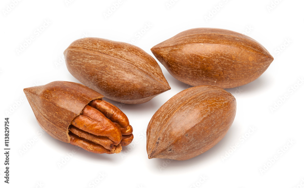 Obraz premium Pecan nuts