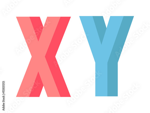 X Y chromosome vector illustration.