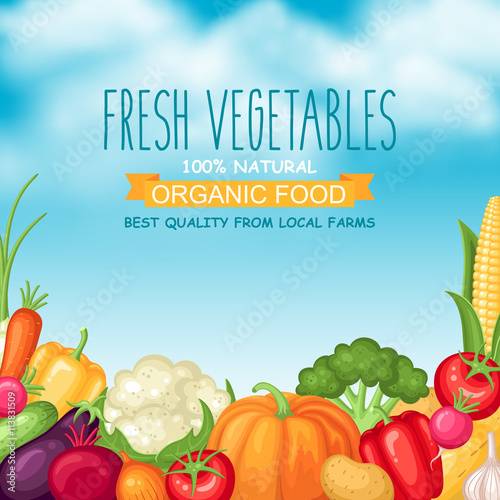 Harvest illustration with vegetables on sky background