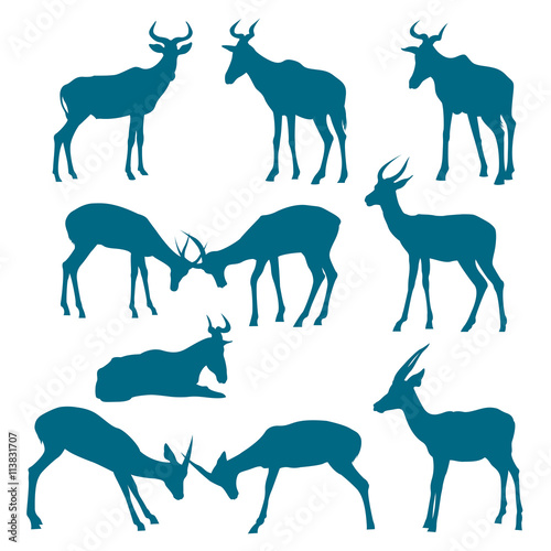 Fototapeta Naklejka Na Ścianę i Meble -  Silhouette of deers. Collection of hoofed animals.