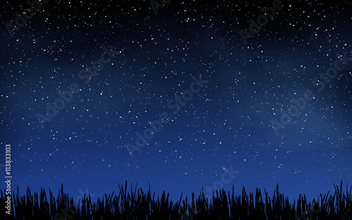 Deep night sky with many stars and grass