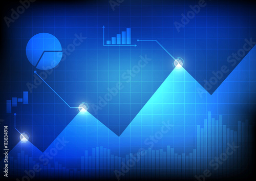Vector : Business graph and pie graph on grid background