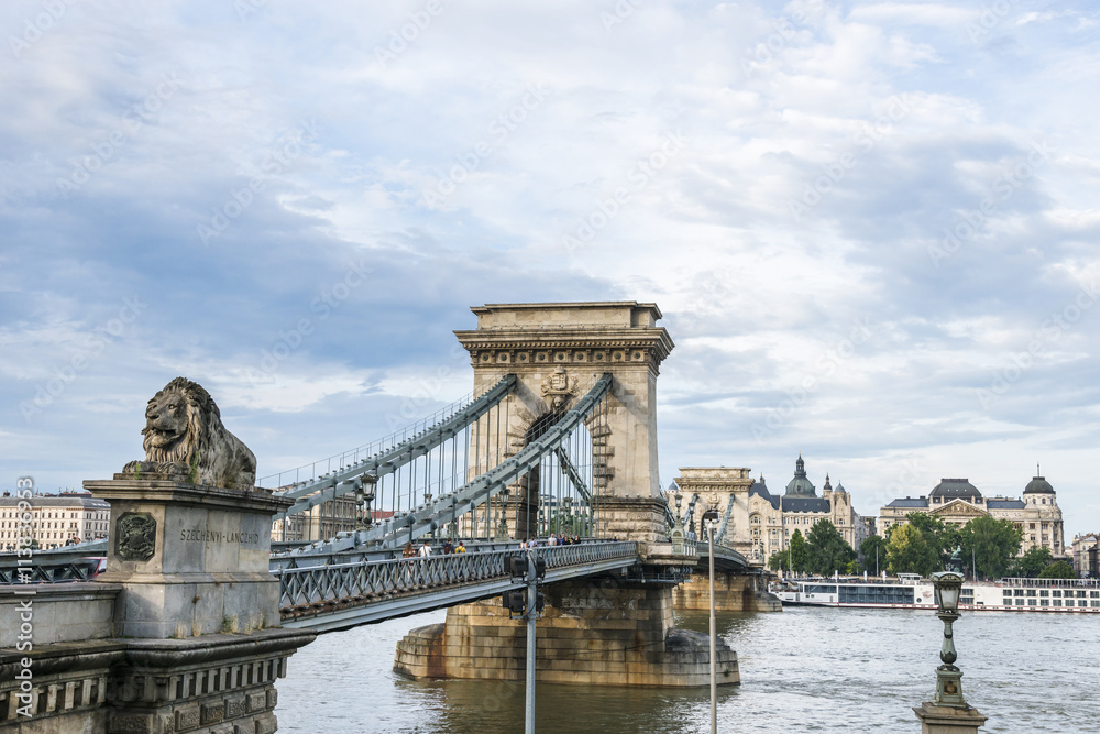 Obraz premium Lions on the Chain bridge in Budapest, Hungary.