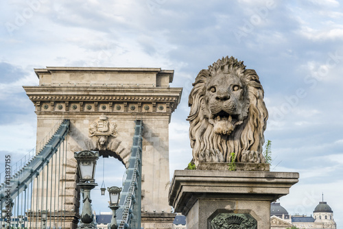 Lion on the Chain bridge in Budapest, Hungary.