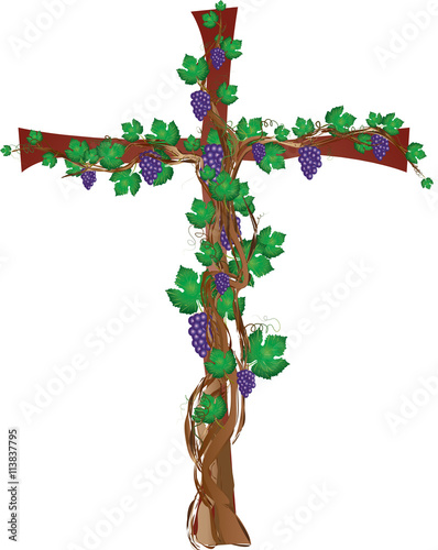 Floral grapevine cross, grape clusters on a vine tree in a shape of a cross. Christian religious graphic element with copy space for text.
