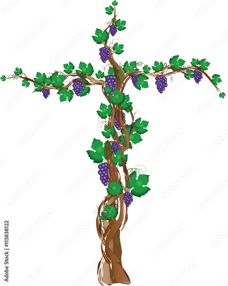 Floral cross with grapevine, grape clusters on a vine tree. Symbol of