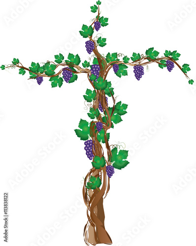 Floral cross with grapevine, grape clusters on a vine tree. Symbol of Eucharist and passion of Christ.