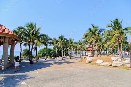Palm trees. Tropical Seaside.
