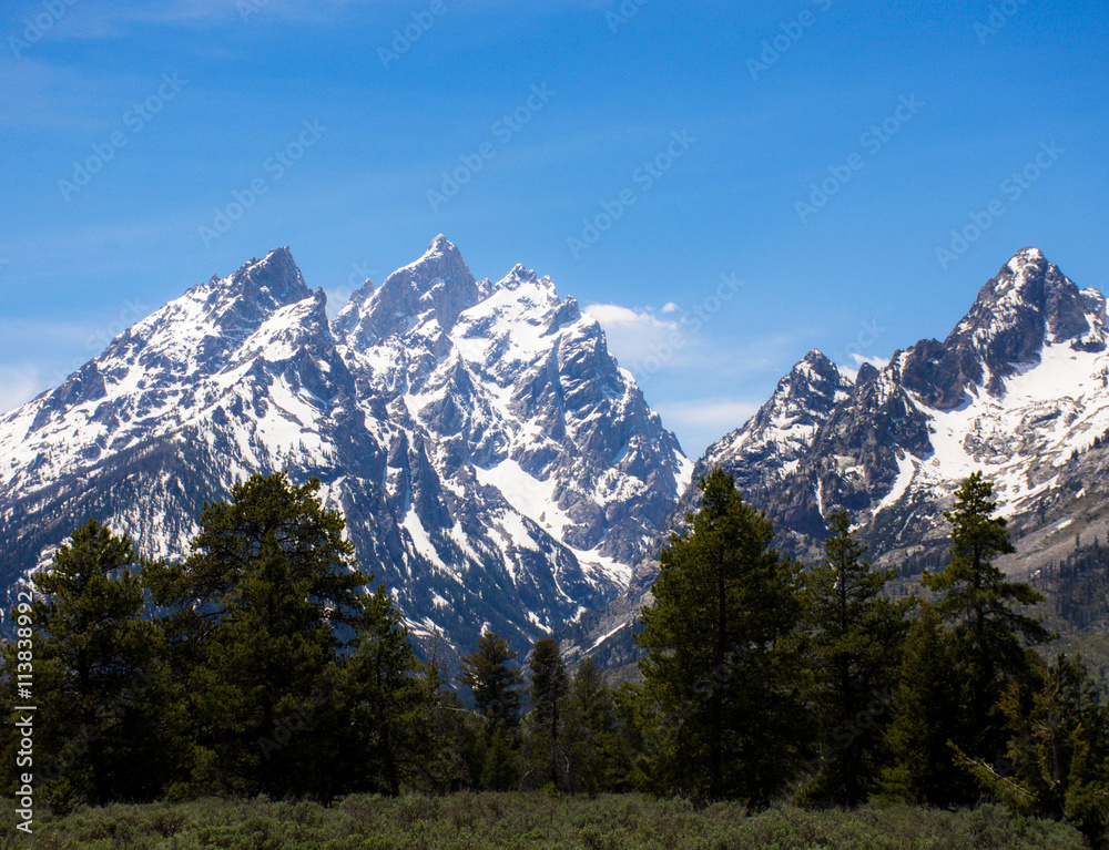 Snowcapped Grand Tetons Mountain Peaks, Towering over the wilderness Forest in Wyoming