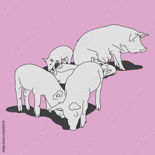 Pig and piglets (pink)