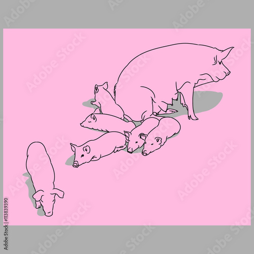 Pig and piglets (pink)