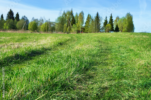 Country road in green field of grass, background