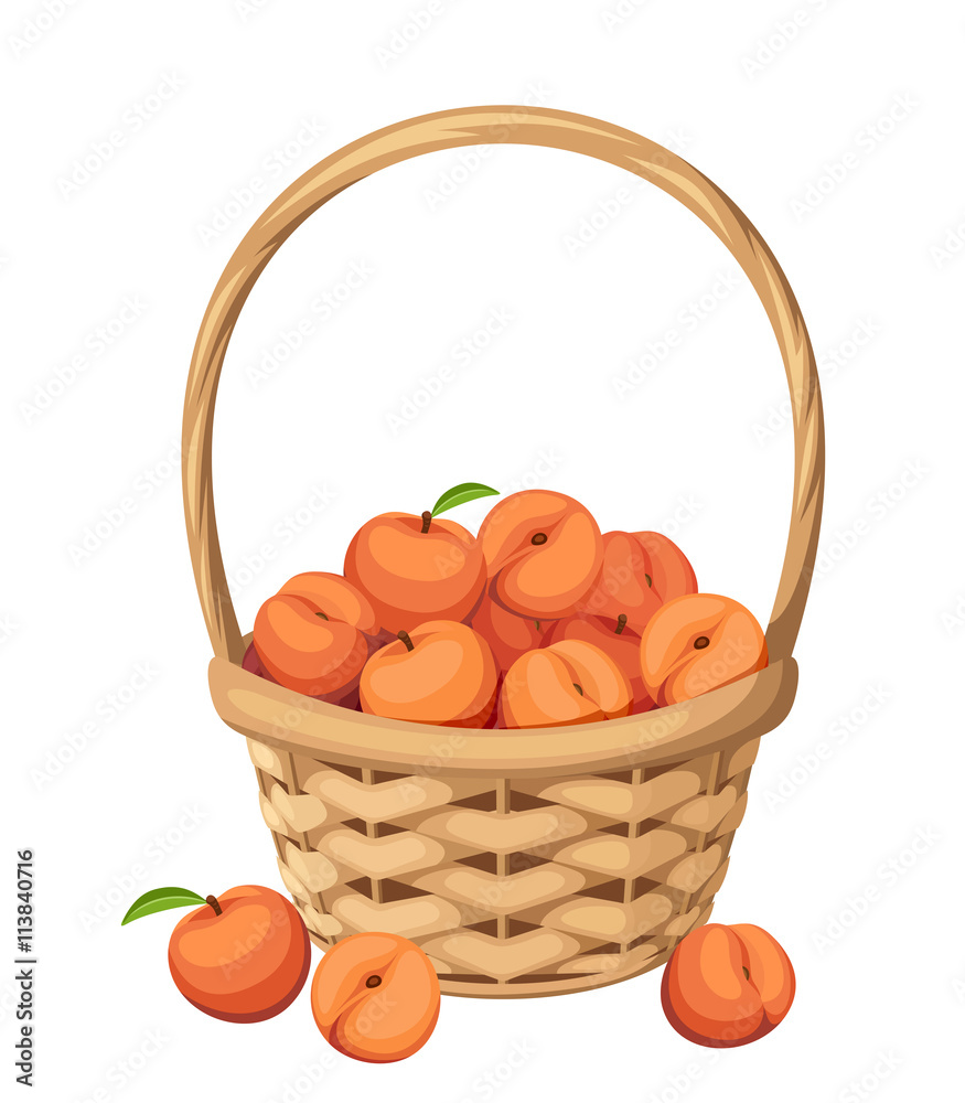 Vector woven basket with peach fruit isolated on a white background. Vector woven basket with peach fruit isolated on a white background.