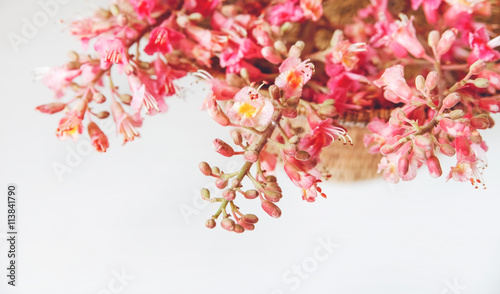 There  Pink  Branches of Chestnut Tree are on White Table,Selective Focus,Background