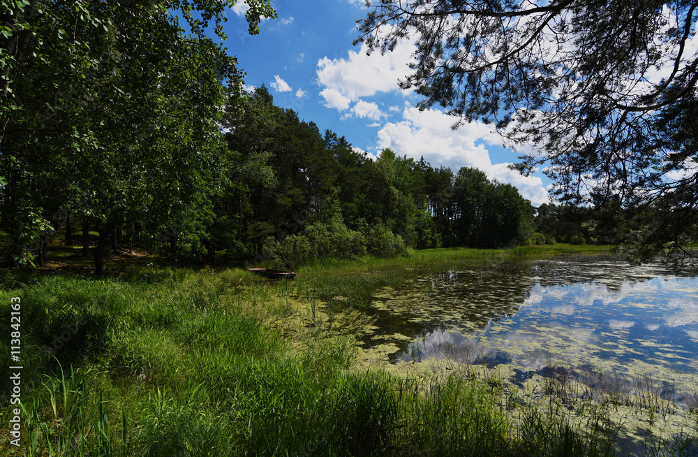 Fototapeta premium Pond in south Bohemia named Zdarsky
