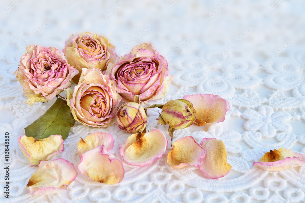Dry pink roses over white lace background Dry pink roses over white lace background