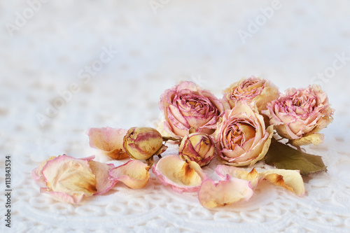 Dry pink roses over white lace