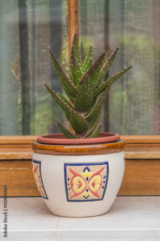 Traditional Venetian wondow with flowers in the pot Traditional Venetian wondow with flowers in the pot