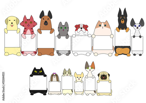 dogs and cats standing with the card