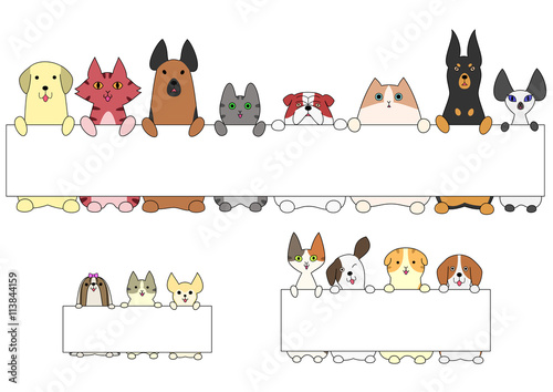 dogs and cats standing with the card