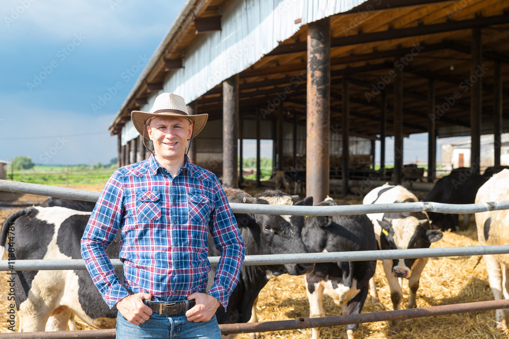 Cowboy and Cows. Portrait of a man on livestock farm. Cowboy and Cows. Portrait of a man on livestock farm.